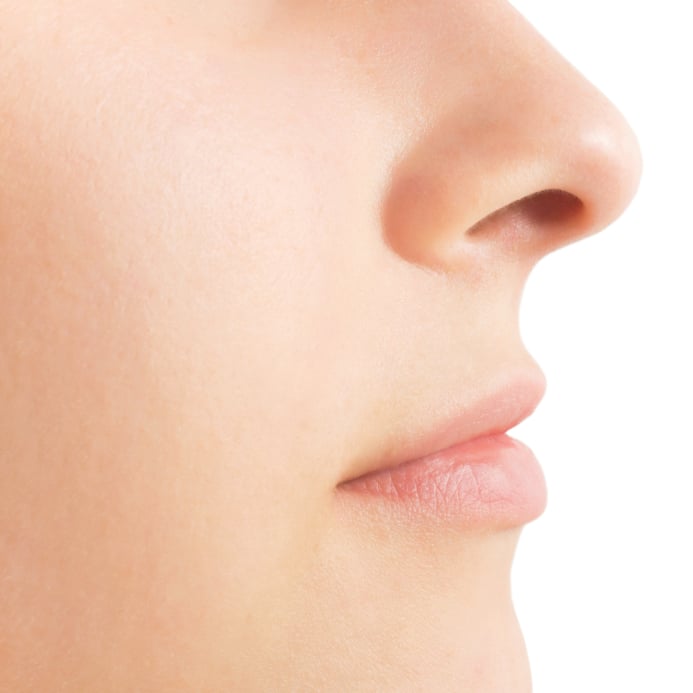 Close-up of a set of nose and lips in profile