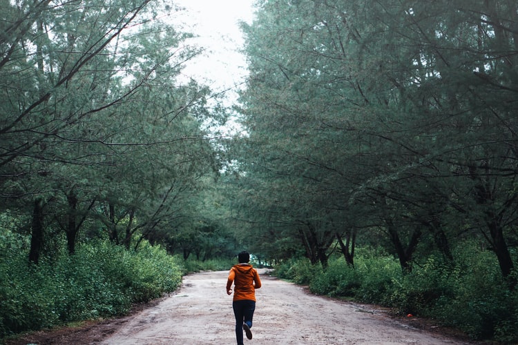 A jogger surrounded by trees while running outside.