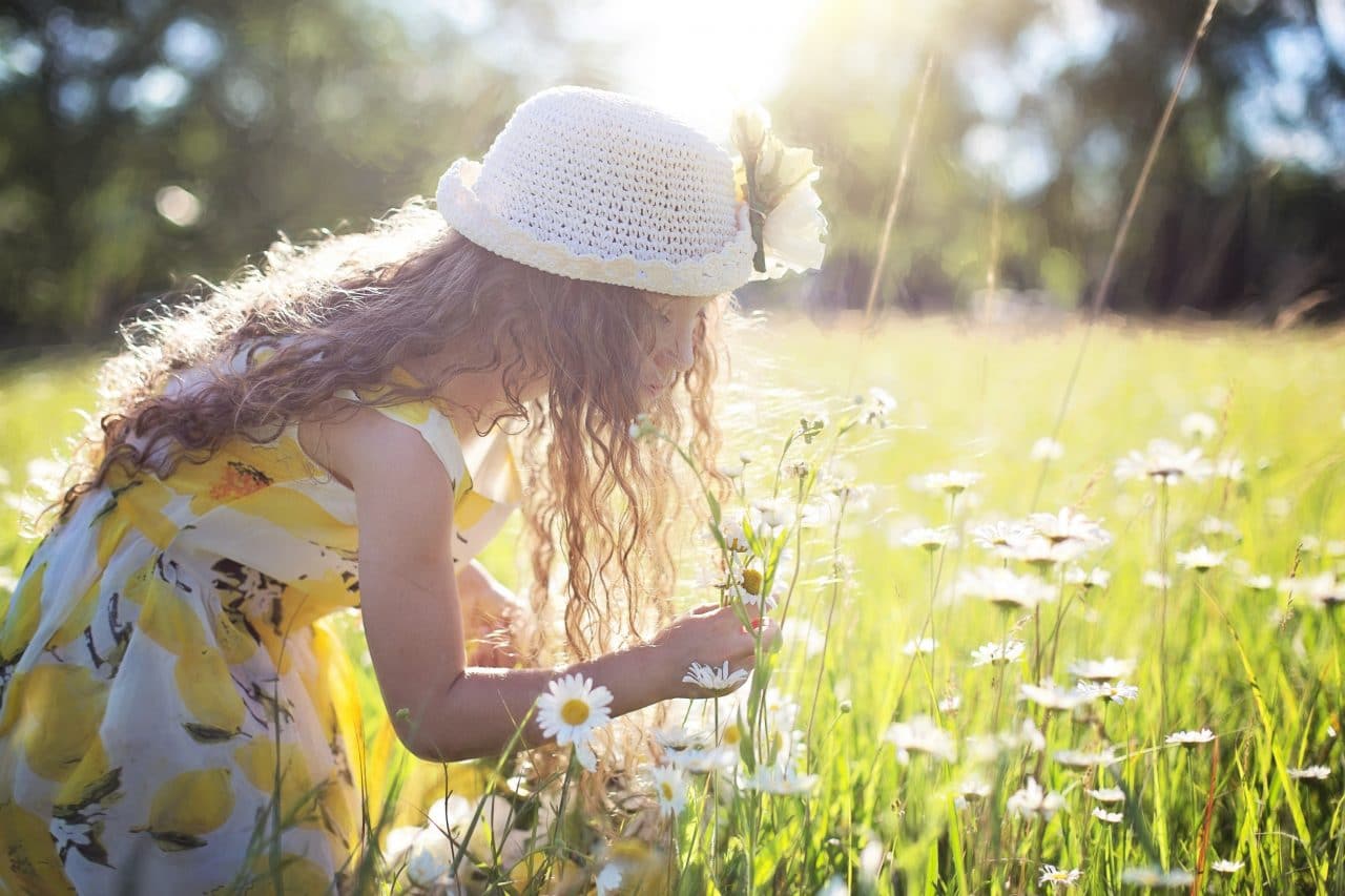Young girl picking flowers in a meadow.