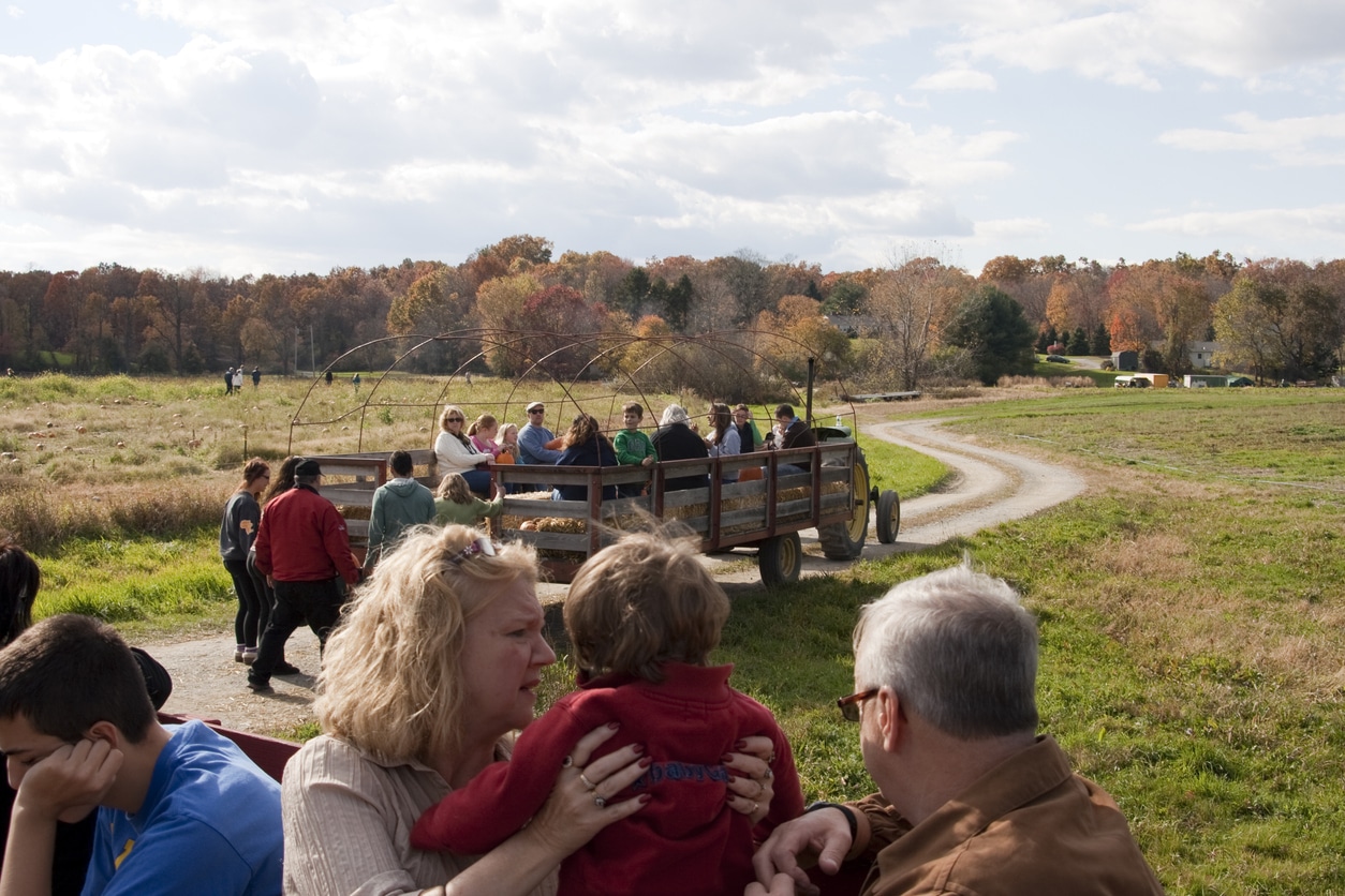 Halloween hay ride